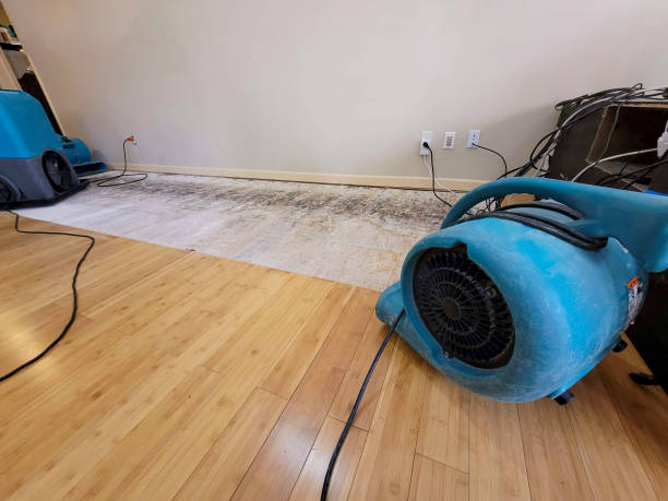 Professional Emergency Water Damage technician working in Jacumba, CA